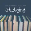Various Artists - Concentration Music for Studying